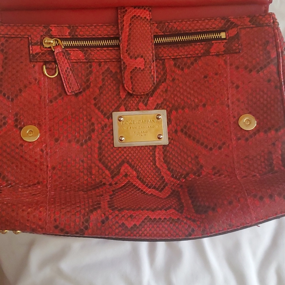 Dolce and Gabbana  python Handbag